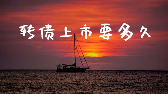 转债上市要多久_https://cj004.lansai.wang_外汇交易_第1张
