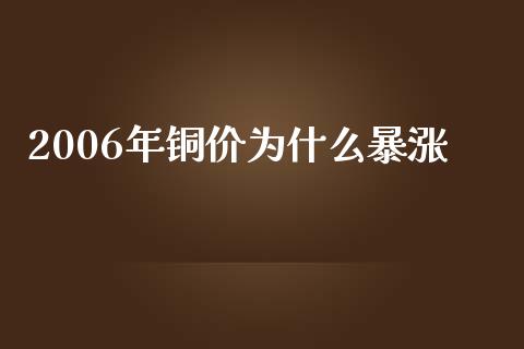 2006年铜价为什么暴涨_https://cj004.lansai.wang_期货开户_第1张