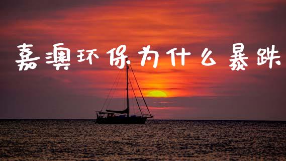 嘉澳环保为什么暴跌_https://cj004.lansai.wang_债券资讯_第1张