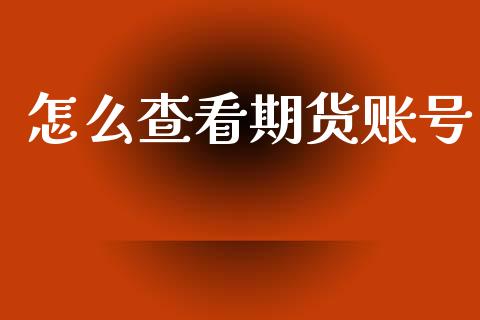 怎么查看期货账号_https://cj004.lansai.wang_债券资讯_第1张