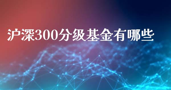 沪深300分级基金有哪些_https://cj004.lansai.wang_期货开户_第1张