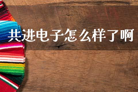 共进电子怎么样了啊_https://cj004.lansai.wang_金融监管_第1张