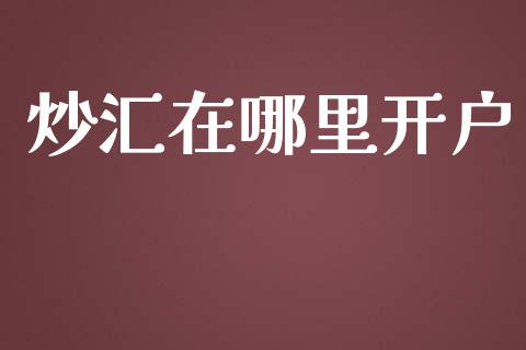 炒汇在哪里开户_https://cj004.lansai.wang_期货开户_第1张