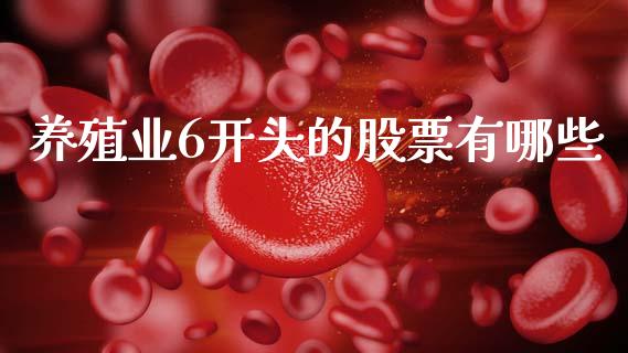 养殖业6开头的股票有哪些_https://cj004.lansai.wang_财经新闻_第1张