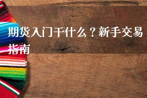 期货入门干什么？新手交易指南_https://cj004.lansai.wang_外汇交易_第1张