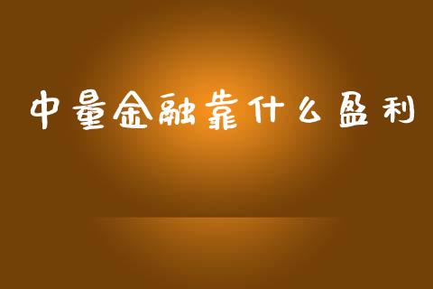 中量金融靠什么盈利_https://cj004.lansai.wang_金融监管_第1张