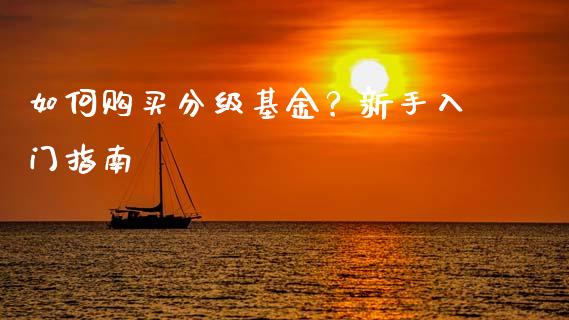 如何购买分级基金？新手入门指南_https://cj004.lansai.wang_全球市场_第1张