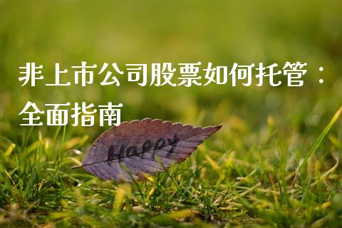 非上市公司股票如何托管：全面指南_https://cj004.lansai.wang_债券资讯_第1张