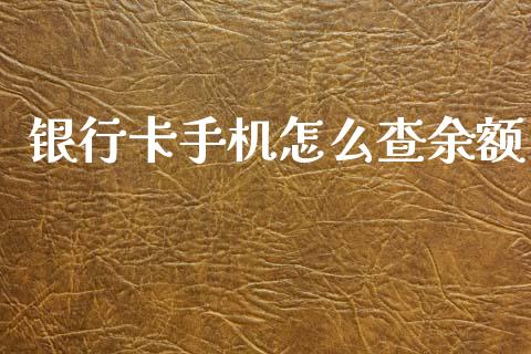 银行卡手机怎么查余额_https://cj004.lansai.wang_外汇交易_第1张