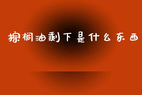 棕榈油剩下是什么东西_https://cj004.lansai.wang_全球市场_第1张