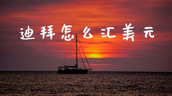 迪拜怎么汇美元_https://cj004.lansai.wang_金融监管_第1张