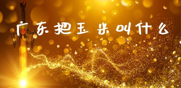 广东把玉米叫什么_https://cj004.lansai.wang_债券资讯_第1张