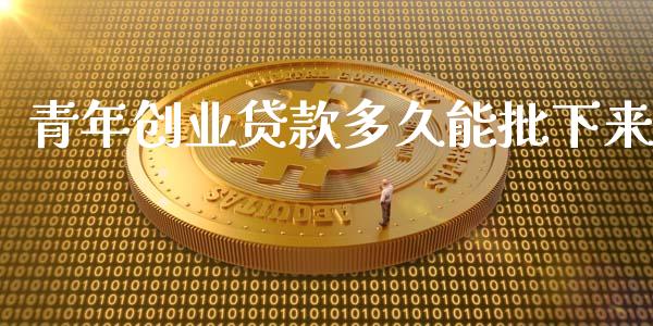 青年创业贷款多久能批下来_https://cj004.lansai.wang_金融监管_第1张