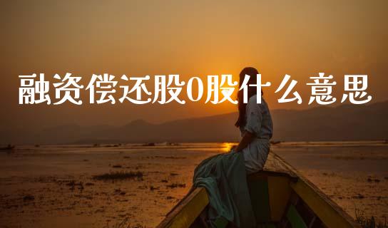 融资偿还股0股什么意思_https://cj004.lansai.wang_财经新闻_第1张