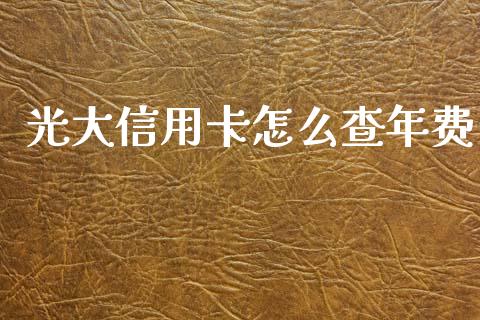 光大信用卡怎么查年费_https://cj004.lansai.wang_外汇交易_第1张