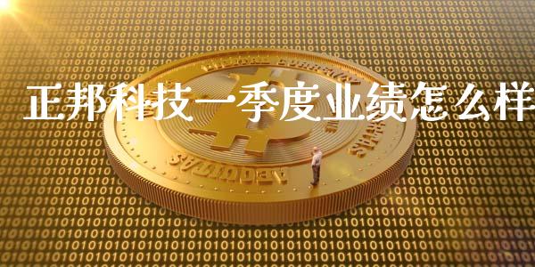 正邦科技一季度业绩怎么样_https://cj004.lansai.wang_金融监管_第1张