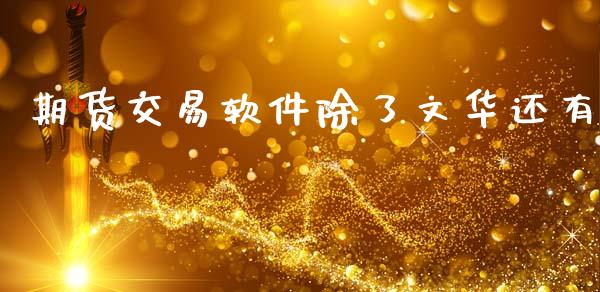 期货交易软件除了文华还有_https://cj004.lansai.wang_财经新闻_第1张
