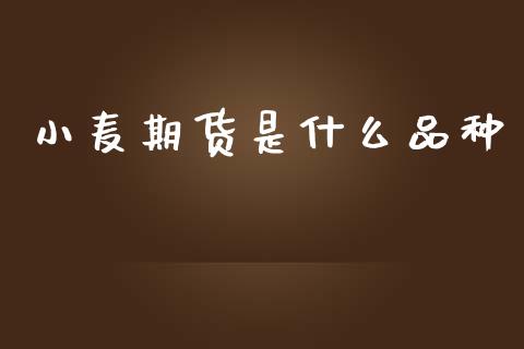小麦期货是什么品种_https://cj004.lansai.wang_财经新闻_第1张