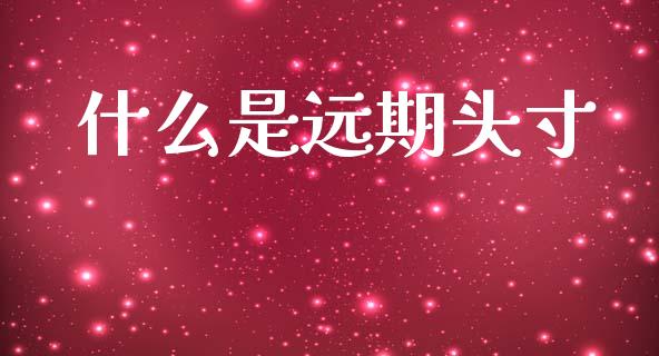 什么是远期头寸_https://cj004.lansai.wang_外汇交易_第1张