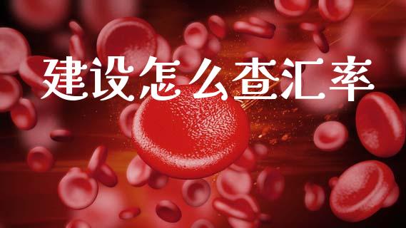 建设怎么查汇率_https://cj004.lansai.wang_债券资讯_第1张