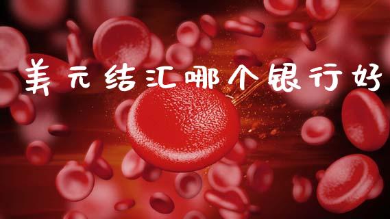 美元结汇哪个银行好_https://cj004.lansai.wang_财经新闻_第1张