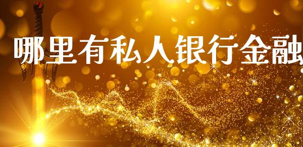 哪里有私人银行金融_https://cj004.lansai.wang_债券资讯_第1张