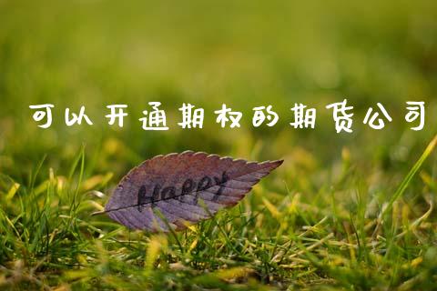 可以开通期权的期货公司_https://cj004.lansai.wang_财经新闻_第1张