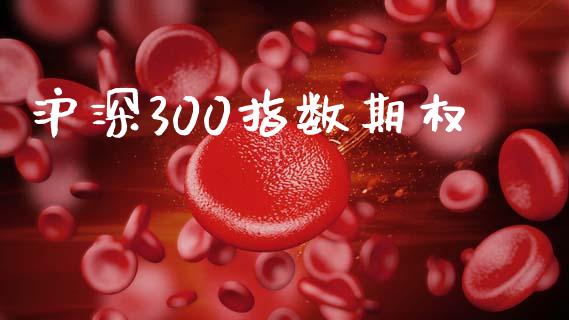 沪深300指数期权_https://cj004.lansai.wang_期货开户_第1张