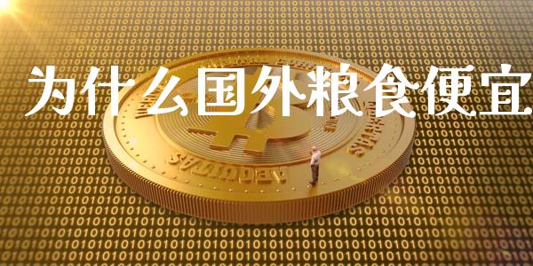 为什么国外粮食便宜_https://cj004.lansai.wang_全球市场_第1张