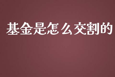 基金是怎么交割的_https://cj004.lansai.wang_金融监管_第1张