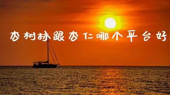 杏树林跟杏仁哪个平台好_https://cj004.lansai.wang_期货开户_第1张