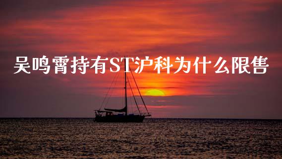 吴鸣霄持有ST沪科为什么限售_https://cj004.lansai.wang_财经新闻_第1张