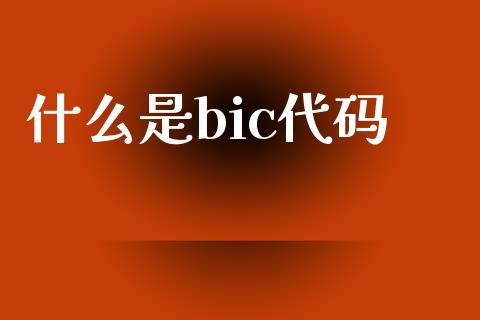 什么是bic代码_https://cj004.lansai.wang_财经新闻_第1张