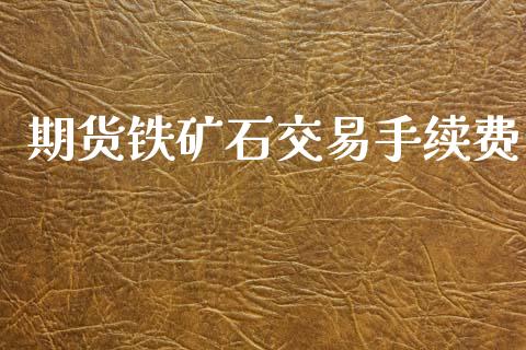 期货铁矿石交易手续费_https://cj004.lansai.wang_金融监管_第1张
