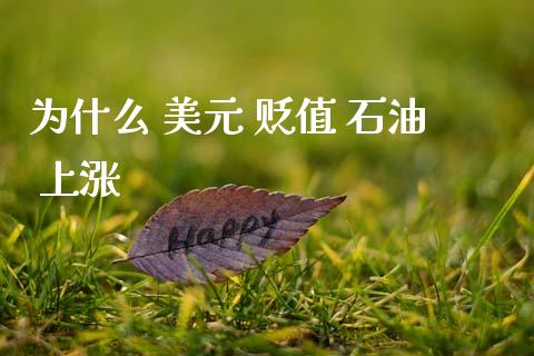 为什么 美元 贬值 石油 上涨_https://cj004.lansai.wang_金融监管_第1张