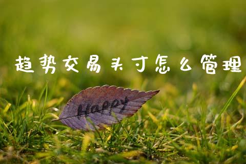 趋势交易头寸怎么管理_https://cj004.lansai.wang_财经新闻_第1张