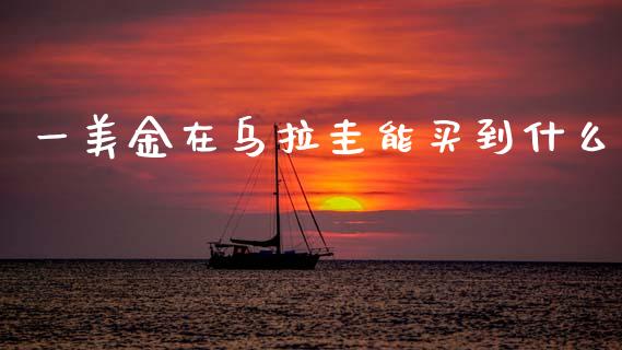 一美金在乌拉圭能买到什么_https://cj004.lansai.wang_金融监管_第1张