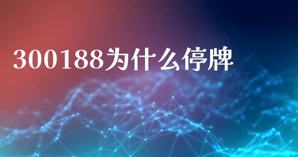 300188为什么停牌_https://cj004.lansai.wang_财经新闻_第1张