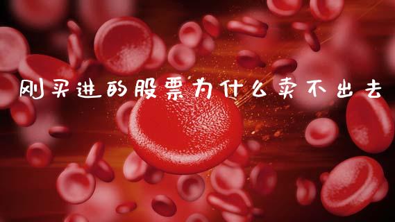刚买进的股票为什么卖不出去_https://cj004.lansai.wang_金融监管_第1张