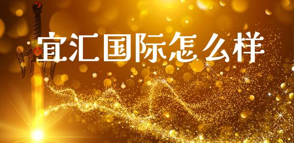 宜汇国际怎么样_https://cj004.lansai.wang_金融监管_第1张