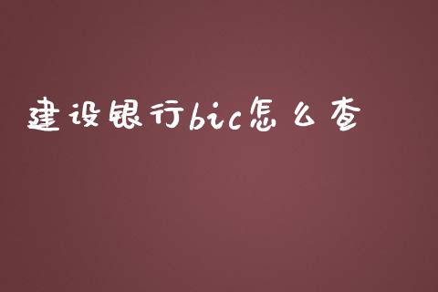 建设银行bic怎么查_https://cj004.lansai.wang_全球市场_第1张
