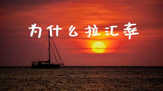 为什么拉汇率_https://cj004.lansai.wang_期货开户_第1张