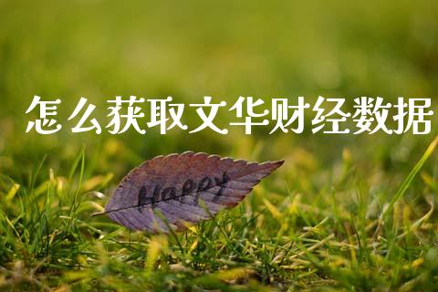 怎么获取文华财经数据_https://cj004.lansai.wang_金融监管_第1张