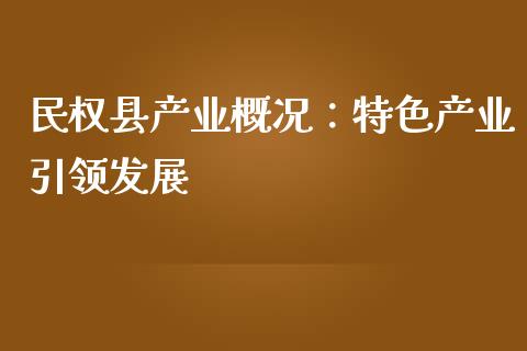 民权县产业概况：特色产业引领发展_https://cj004.lansai.wang_期货开户_第1张