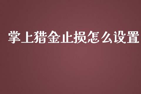 掌上猎金止损怎么设置_https://cj004.lansai.wang_全球市场_第1张