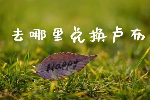 去哪里兑换卢布_https://cj004.lansai.wang_财经新闻_第1张