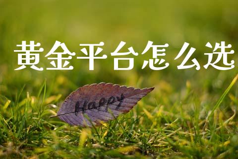 黄金平台怎么选_https://cj004.lansai.wang_金融监管_第1张