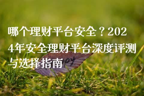 哪个理财平台安全？2024年安全理财平台深度评测与选择指南_https://cj004.lansai.wang_金融监管_第1张