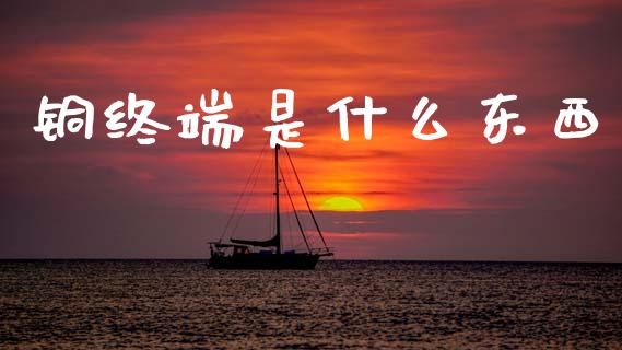 铜终端是什么东西_https://cj004.lansai.wang_外汇交易_第1张