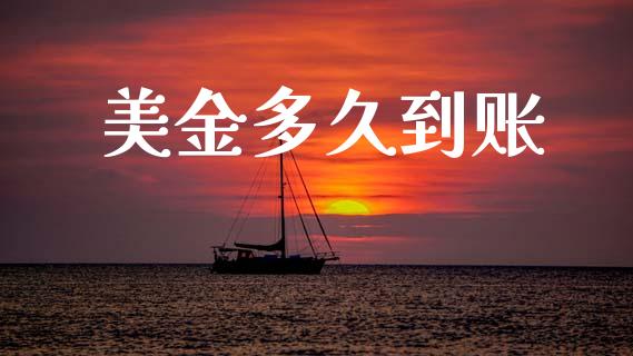 美金多久到账_https://cj004.lansai.wang_金融监管_第1张